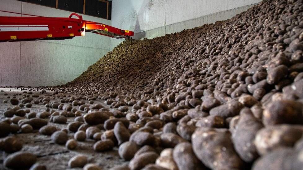 Beeld ter illustratie.