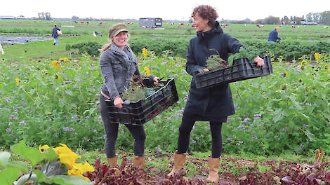 Wendela Griffioen (links) en Sanne Smeets werken succesvol samen.