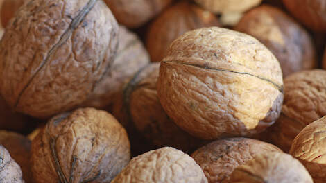 Agroforestryproducten: hoe schalen telers gezamenlijk op van kleine naar grote volumes?