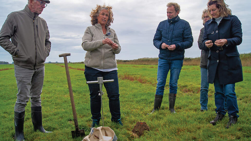 Op een graslandperceel wordt na de presentatie de bodem aan nader onderzoek onderworpen.
