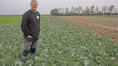 Jan Kees Nannes denkt dat machinaal kool oogsten bij de meeste kooltelers de norm wordt.