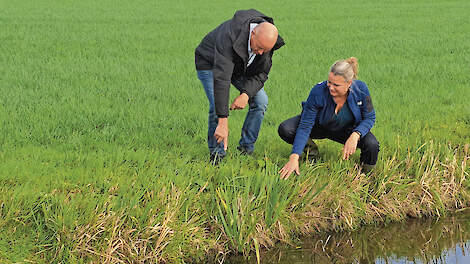 Arjan van Rijn, boer en lid van het dagelijks bestuur van het Waterschap Amstel, Gooi en Vecht en adviseur agrarisch waterbeheer Debby van Rotterdam over ecologisch slootschonen.
