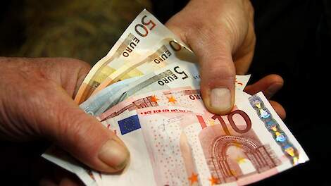 In Limburg was de gemiddelde agrarische grondprijs in het derde kwartaal van 2025 96.100 euro, in Noord-Brabant 108.200 euro en in Zeeland 94.300 euro. Dat meldt het Kadaster.