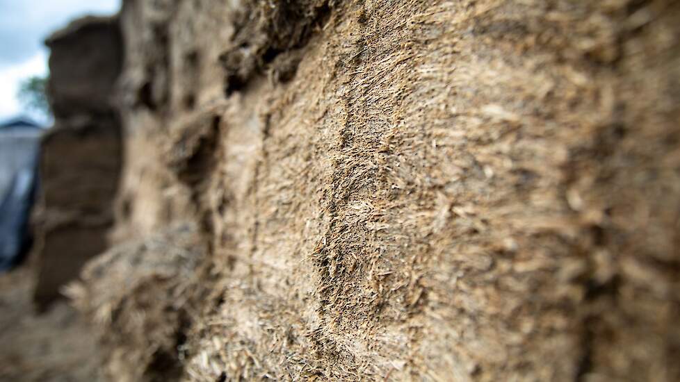 Een melkveebedrijf in Meierijstad stond onlangs twee keer tegenover de rechter: één keer over het vroeg voeren en melken van koeien en één keer over een verbouwing van de melkstal zonder vergunning.