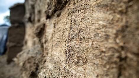 Een melkveebedrijf in Meierijstad stond onlangs twee keer tegenover de rechter: één keer over het vroeg voeren en melken van koeien en één keer over een verbouwing van de melkstal zonder vergunning.