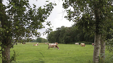 „Waar de rekenmodellen structurele schade voorspellen, zien we in de praktijk dat veel natuurtypen stabiel zijn of zich zelfs herstellen”, aldus hoofdauteur Henri Prins.