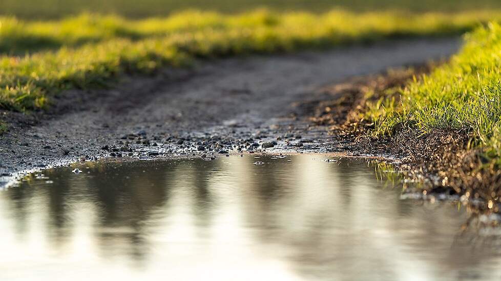 Plas water op landweg