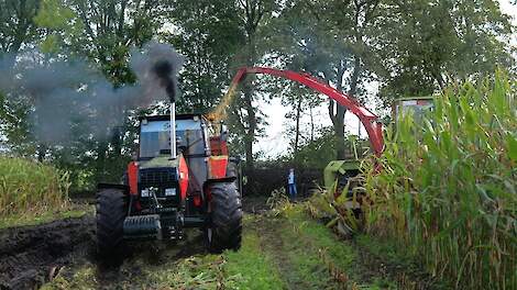 De allerlaatste maïs van 2025 door de pijp ?