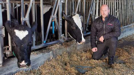 Huibert van Dorp bij zijn koeien. Hij is inmiddels gestopt met het toevoegen van Bovaer aan het rantsoen.