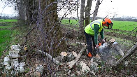 Beeld ter illustratie.