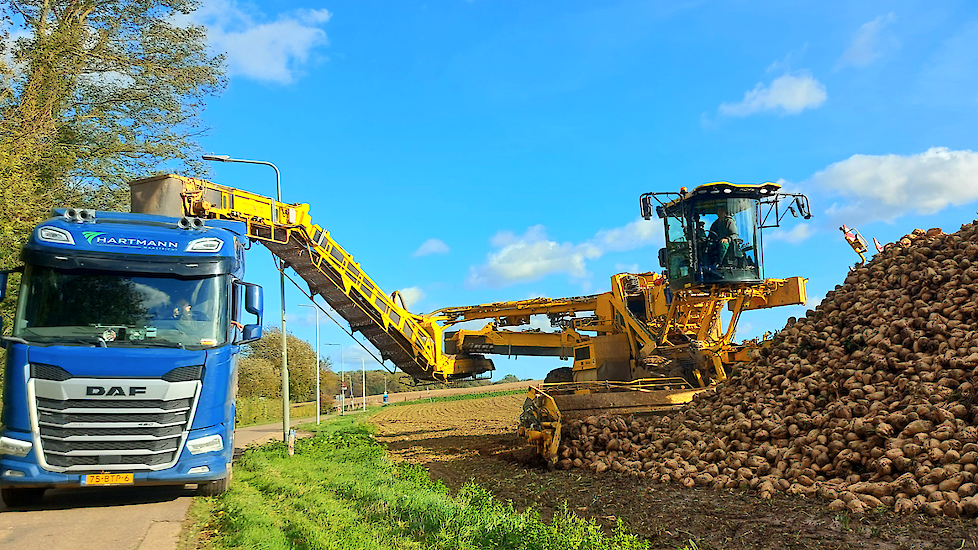 Suikerbieten laden in Watersley-Sittard.