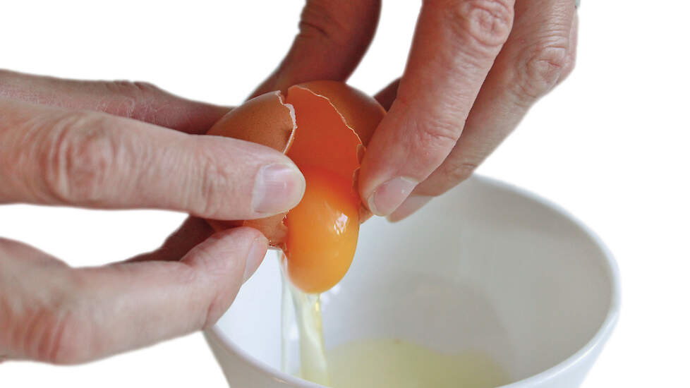 Een SE besmetting kan zowel op het ei als binnenin het ei voorkomen.