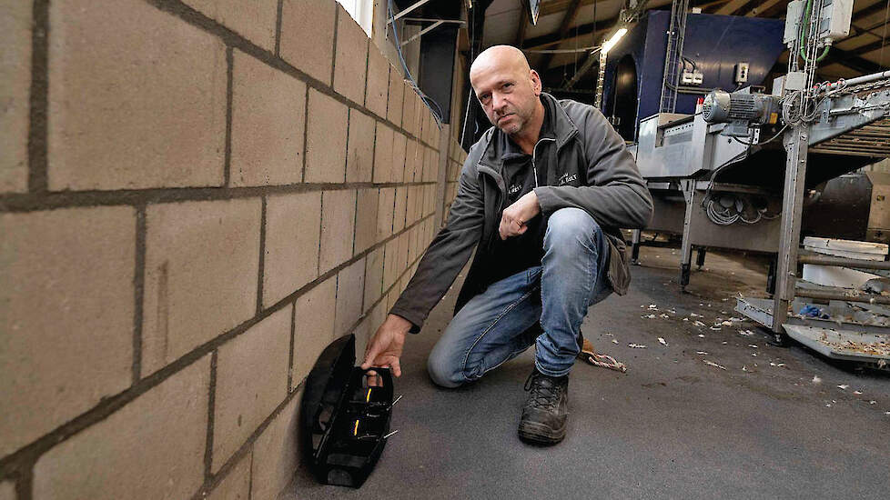 Leghennenhouder Robert van der Bolt is zelf actief bezig met ongediertebestrijding na een salmonella-uitbraak in januari vorig jaar.