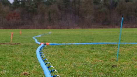 Archieffoto ter illustratie.