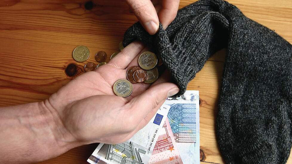 Leghennenhouders, vleeskuikenhouders en vermeerderaars behalen dit jaar bovengemiddelde rendementen. Dit is hét moment om lijfrente af te storten en een pensioen te vormen om zo de belastingdruk te verlagen, stellen accountants.