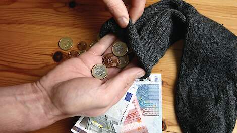 Leghennenhouders, vleeskuikenhouders en vermeerderaars behalen dit jaar bovengemiddelde rendementen. Dit is hét moment om lijfrente af te storten en een pensioen te vormen om zo de belastingdruk te verlagen, stellen accountants.