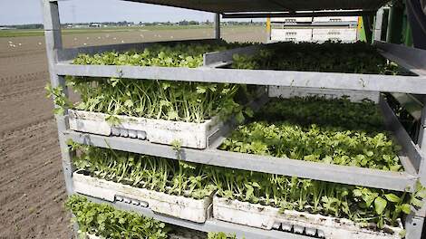 Beeld ter illustratie.