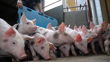 (Foto ter illustratie)