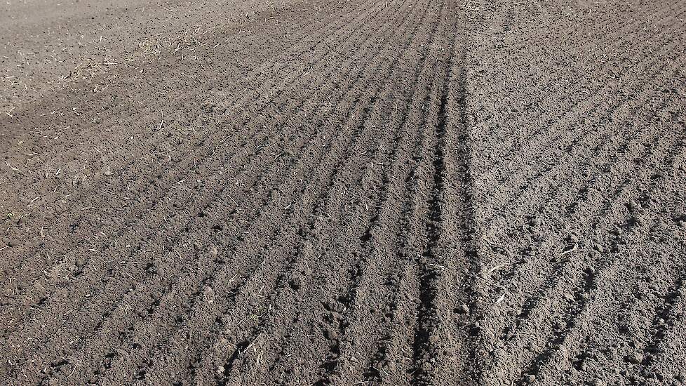 Beeld ter illustratie.