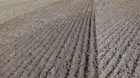 Beeld ter illustratie.