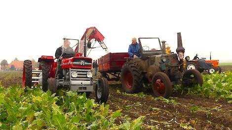 Oldtimer bietenrooien in Harpel met Stoll- Kleine- Schmotzer- Climax- Fiat- Ford -Zetor-LanzBulldog