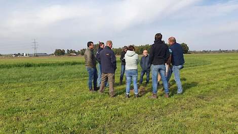 Kruidenrijk grasland: inzichten uit zes jaar beheer