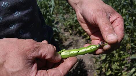 Beeld ter illustratie.