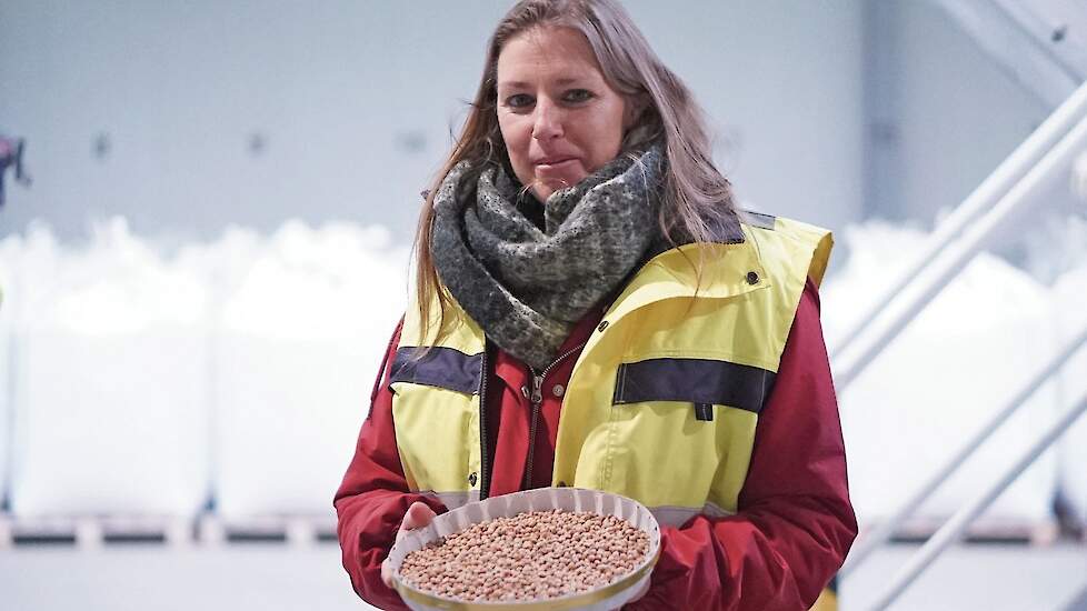 Vercraeye (Termont & Thomaes) is trots op bonen van Zeeuwse bodem.