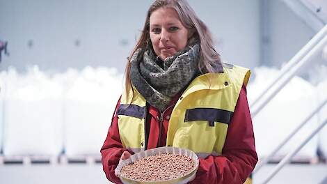 Vercraeye (Termont & Thomaes) is trots op bonen van Zeeuwse bodem.