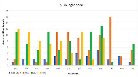 Aantal met Salmonella Enteritidis besmette koppels leghennen in Nederland Bron: NVWA 2025
