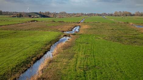 Beeld ter illustratie.