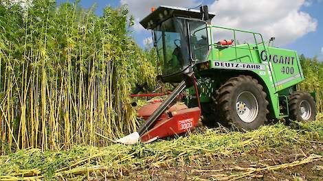 Beeld ter illustratie.