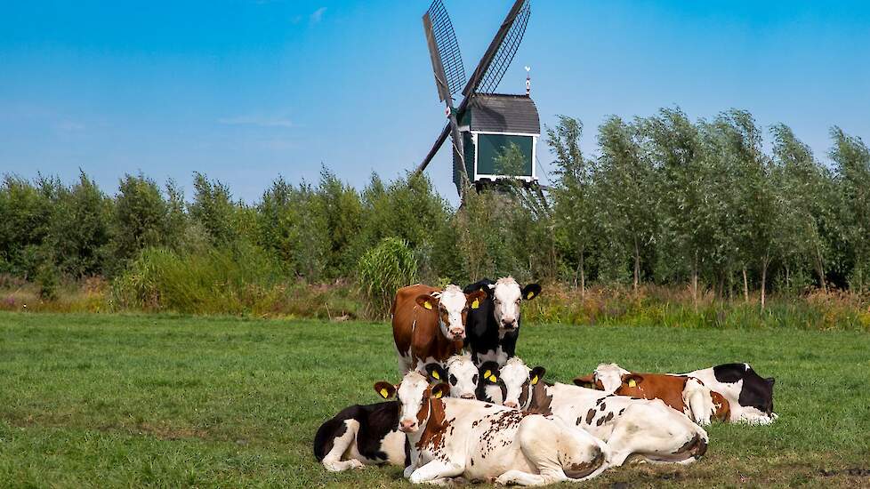 Beeld ter illustratie. Deze heeft geen betrekking op de genoemde zaak.