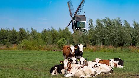 Beeld ter illustratie. Deze heeft geen betrekking op de genoemde zaak.