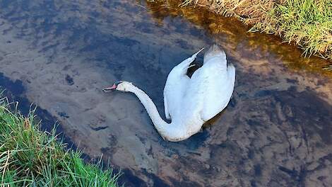 (foto ter illustratie)