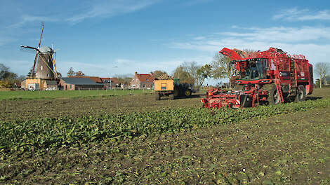 De omstandigheden voor het rooien van de suikerbieten kunnen volgens sommige telers bijna niet beter zijn. De bietenoogst gaat daarom ook vlot.