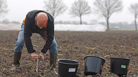 De monsters voor de Nmin-residumetingen worden op drie dieptes gestoken.