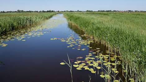 Hoe gaan landbouw en natuur in Nederland eruitzien als we in 2050 aan alle doelen willen voldoen? Dat is de vraag in een toekomststudie van het Planbureau voor de Leefomgeving.