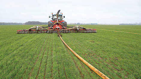 In de nieuwe stikstofaandachtsgebieden moet de melkveehouder straks rekening houden met 10 tot 20 procent minder stikstofruimte.