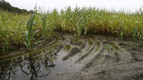 Beeld van wateroverlast in 2016 ter illustratie.