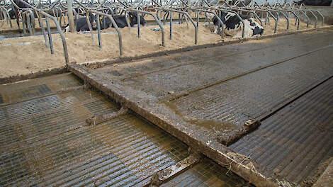 Melkveehouders moeten voor 1 juli 2026 een plan indienen hoe zij aan de nog vast te stellen emissienormen gaan voldoen. Inzet op innovatie is een van de mogelijkheden.