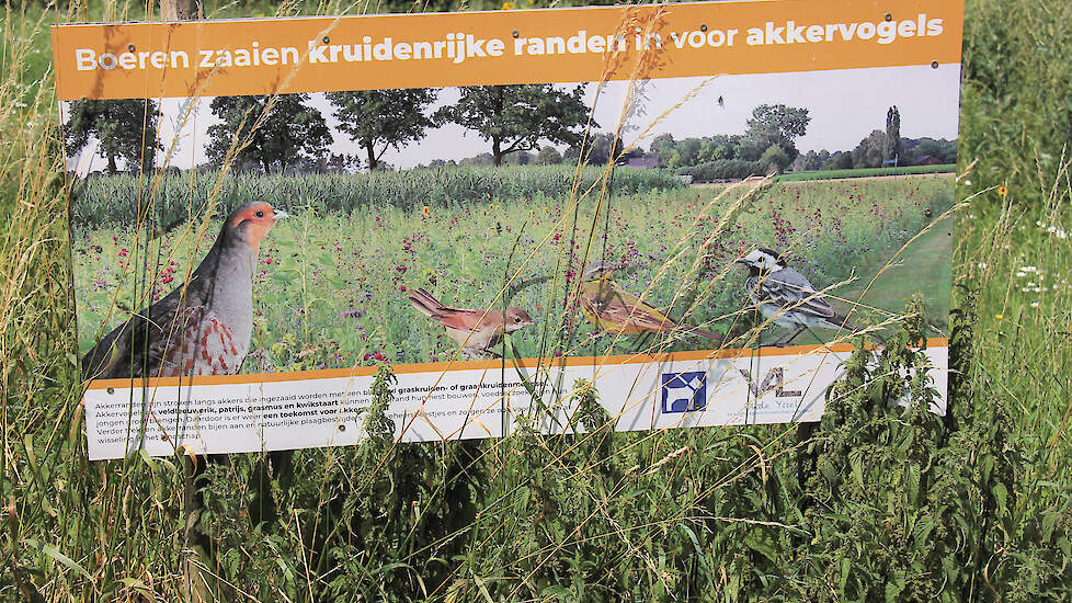 Een eerder agrarisch natuurproject in het Achterhoekse Varsselder.