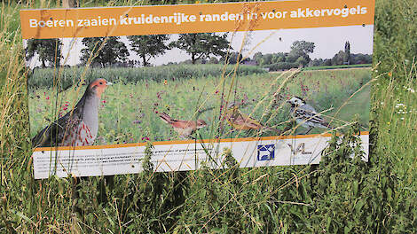 Een eerder agrarisch natuurproject in het Achterhoekse Varsselder.