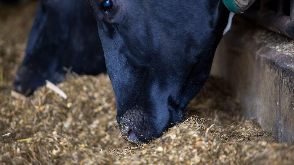 Beeld ter illustratie.