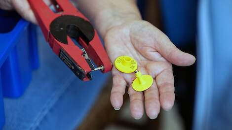 (Foto ter illustratie)