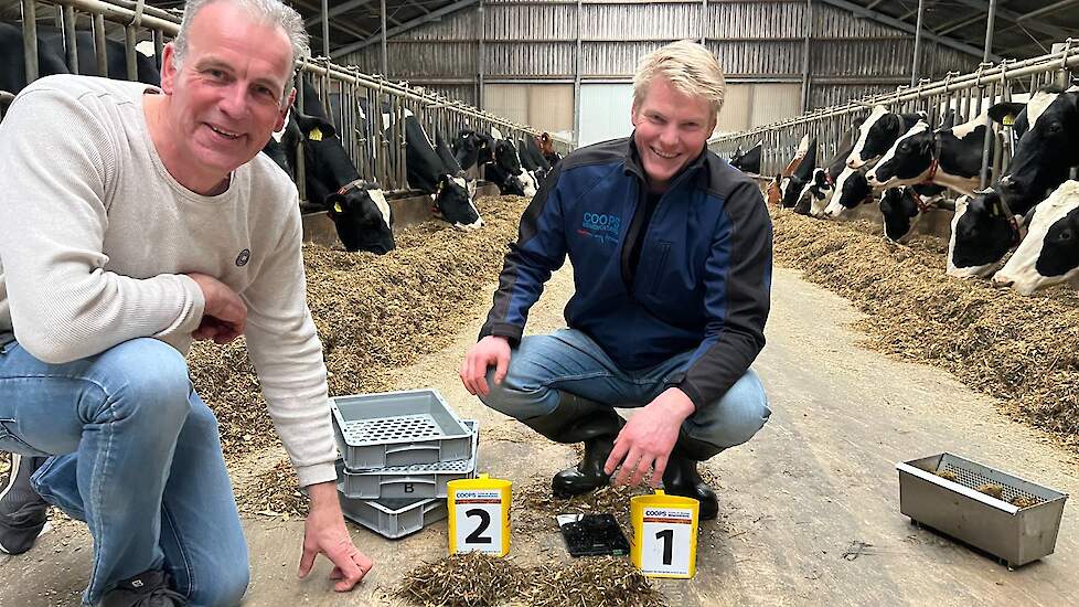 Melkveehouder Ard Looman uit Zelhem