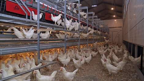 Beeld ter illustratie