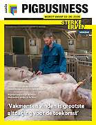 Vakblad Pig Business &rsaquo; Editie 2026-3