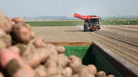 Beeld ter illustratie.