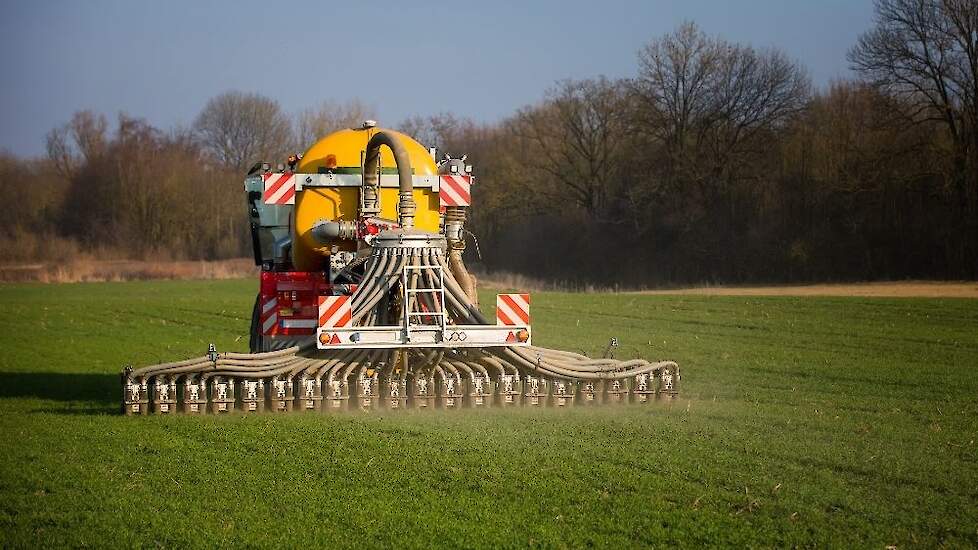 Lager fosfaat in vleesvarkensvoeders zorgt voor besparing op mestverwerkingskosten